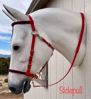 Picture of Evolution Bridle with Included Reins