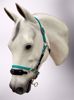 Picture of No Brow Halter Bridle with Bit Hangers