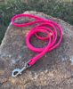 Picture of Dog Leash