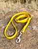 Picture of Dog Leash