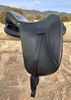 Picture of Ghost Treeless Saddle, 18" Lipica, SOLD!