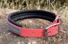 Picture of Dog Collar