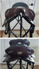 Picture of Aussie Light Specialized Saddle, SOLD