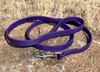 Picture of Dog Leash