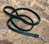 Picture of Dog Leash