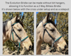 Picture of Evolution Bridle with Included Reins