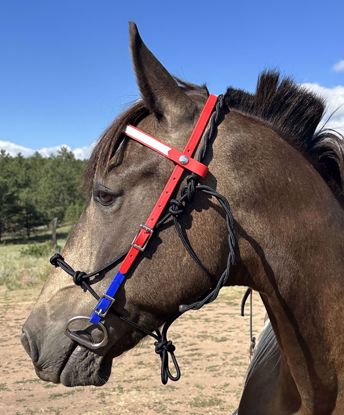 Picture of Bridle Converter Deluxe (roller buckle cheek pieces)