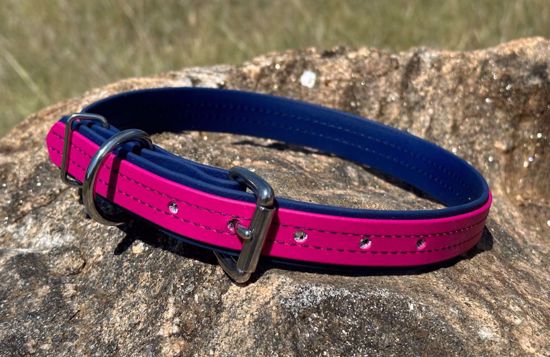 Picture of Dog Collar