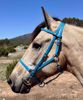 Picture of Halter Bridle Convertible