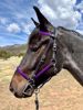 Picture of Halter Bridle Convertible