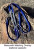 Picture of Evolution Bridle with Included Reins