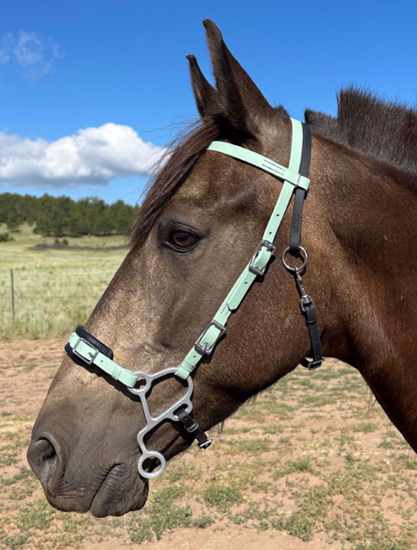 Picture of Hackamore Deluxe