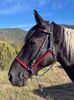 Picture of Halter Bridle Convertible Lite