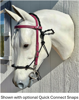 Picture of Bridle Converter Lite (conway buckle cheek pieces)