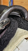 Picture of Evolutionary "The Officer" Model Saddle
