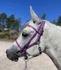 Picture of Halter Bridle Convertible