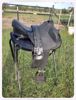 Picture of Ghost Treeless Saddle: Quevis, SOLD!