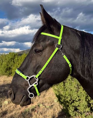 Picture of Hackamore UltraLite