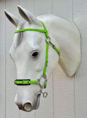 Picture of Hackamore UltraLite, Arab Size, Color: Green Apple - READY TO SHIP