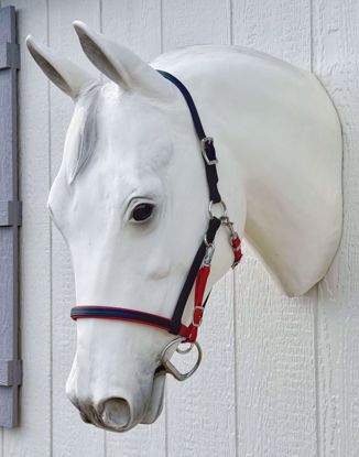 Picture of No Brow Halter Bridle, Arab Size, Color: Chili Red & Black - READY TO SHIP