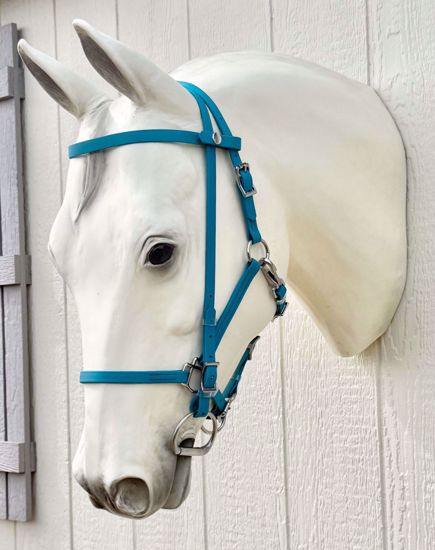 Picture of Halter Bridle Convertible, Arab Size, Color: Lagoon - READY TO SHIP