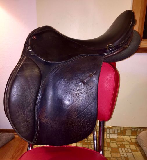 Picture of Arabian Saddle Company Solstice, SOLD!