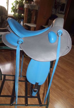 Picture of Hyperi Rosella Saddle, NEW LISTING!