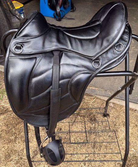 Picture of Sensation Dressage Trail Package, SOLD!