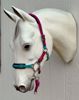 Picture of No Brow Hackamore Deluxe (buckle cheeks)