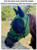 Picture of No Brow Hackamore Lite (conway cheeks)