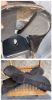 Picture of Eurolight Specialized Saddle, PRICE REDUCED!