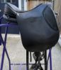 Picture of Ghost Treeless Saddle: Torino